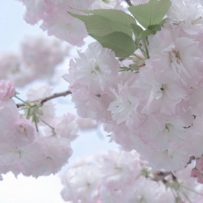 Furry绘画光影解析兽圈群